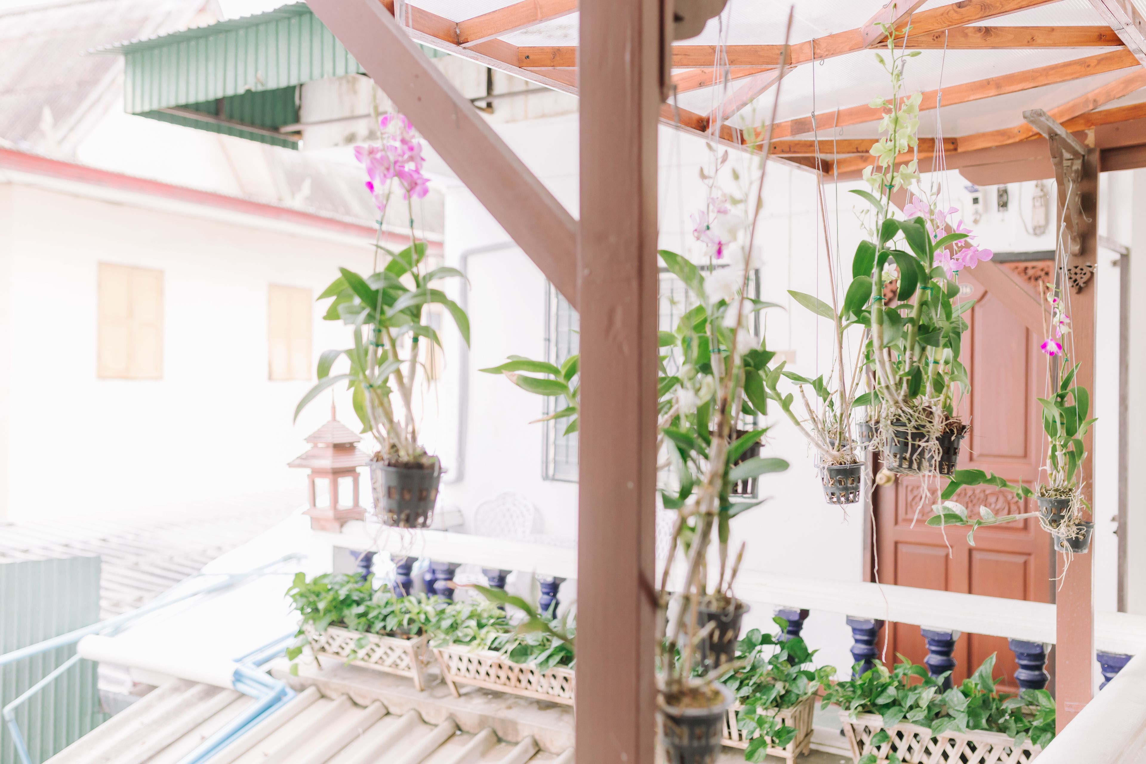 Foto - Rendezvous Oldtown Chiangmai