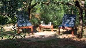Un espace extérieur aménagé avec deux chaises en bois et une petite table, le tout entouré de verdure.