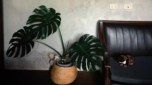 Een kamer met een donker leren bank, een gevlochten plantenpot en een grote groene plant.
