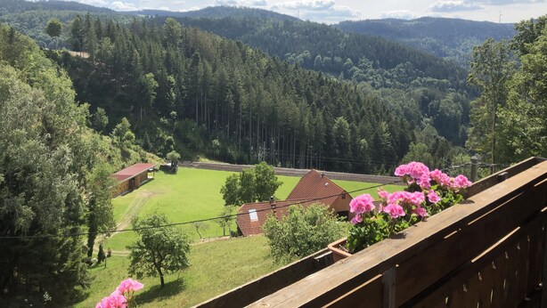 Eine malerische Aussicht auf ein Tal mit dichtem Wald, einem kleinen Gebäude und einer Bahntrasse.