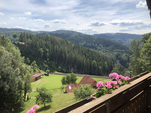 beautiful apartment with 1 bedroom and a gorgeous balcony