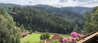 beautiful apartment with 1 bedroom and a gorgeous balcony
