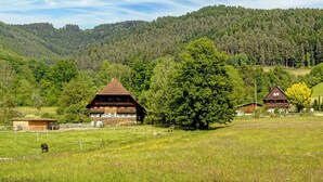 Ländliche Landschaft mit traditionellen Holzhäusern, einem großen Baum und einem Berg im Hintergrund.