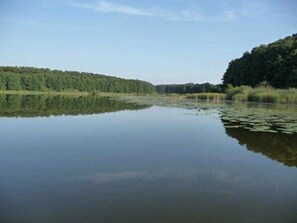 Image sans description, 2 de 26, bouton