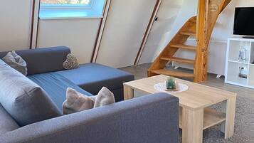 Televisión, chimenea y libros