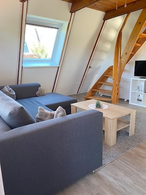 Télévision, cheminée, livres