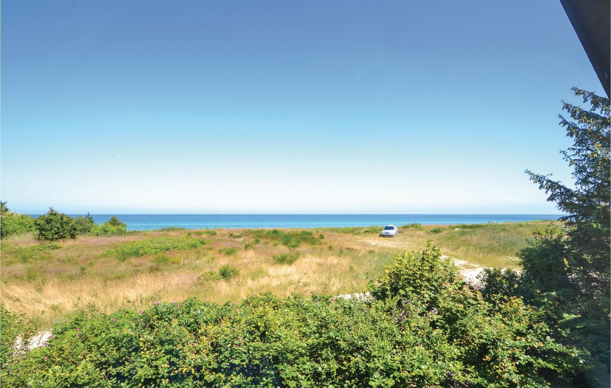 Un paysage côtier avec un véhicule sur un chemin de terre, une végétation luxuriante et une vue dégagée sur l’océan.