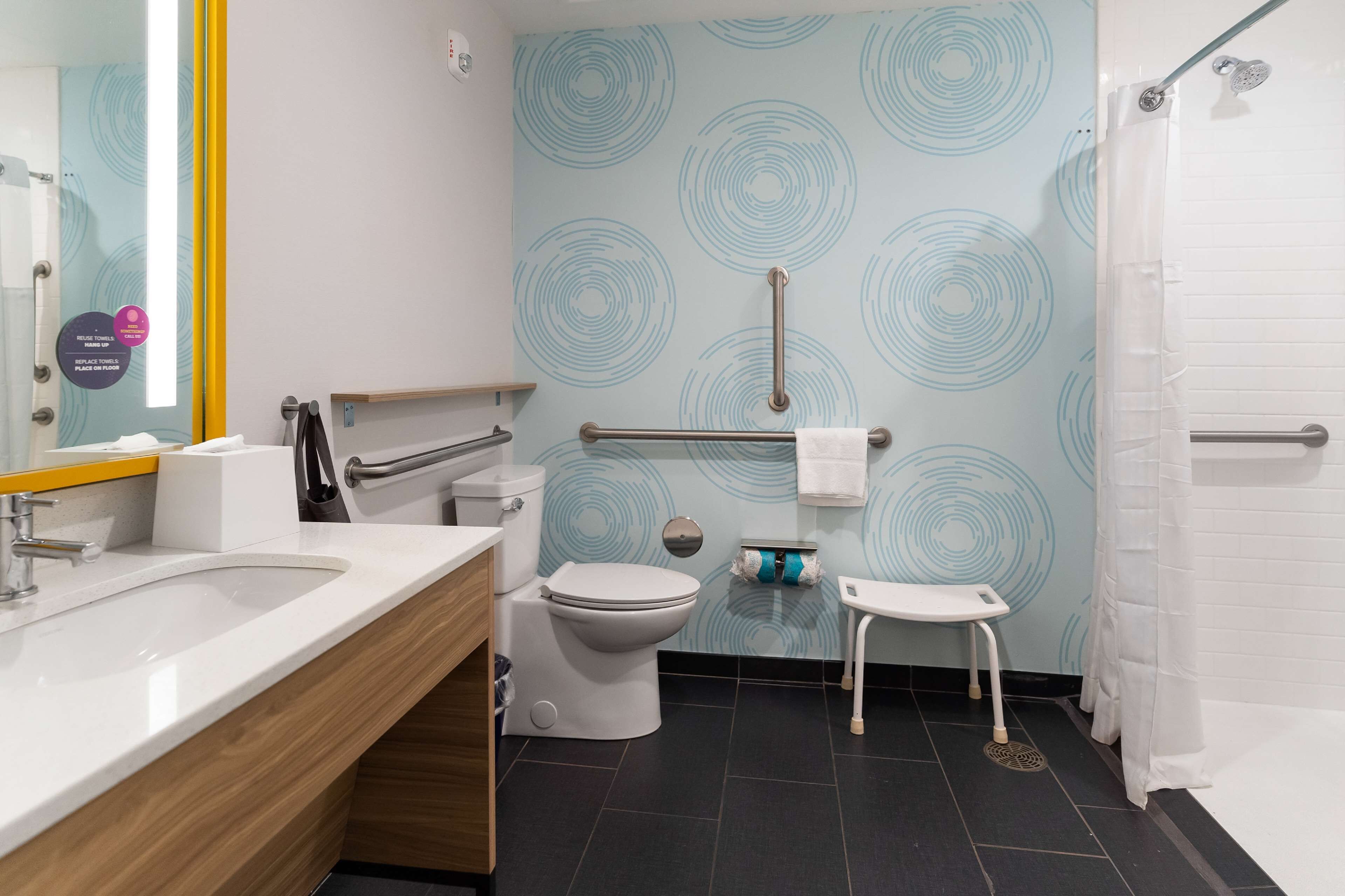 room, 1 king bed, accessible (roll-in shower) | bathroom shower