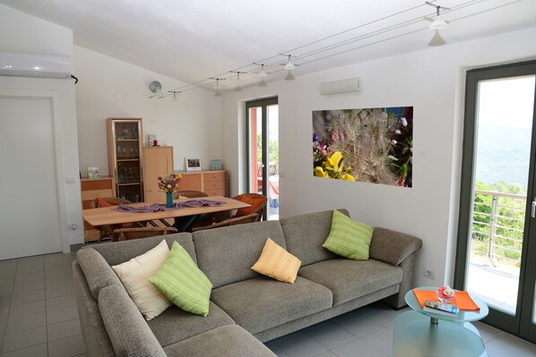 Smart TV, fireplace, books, stereo