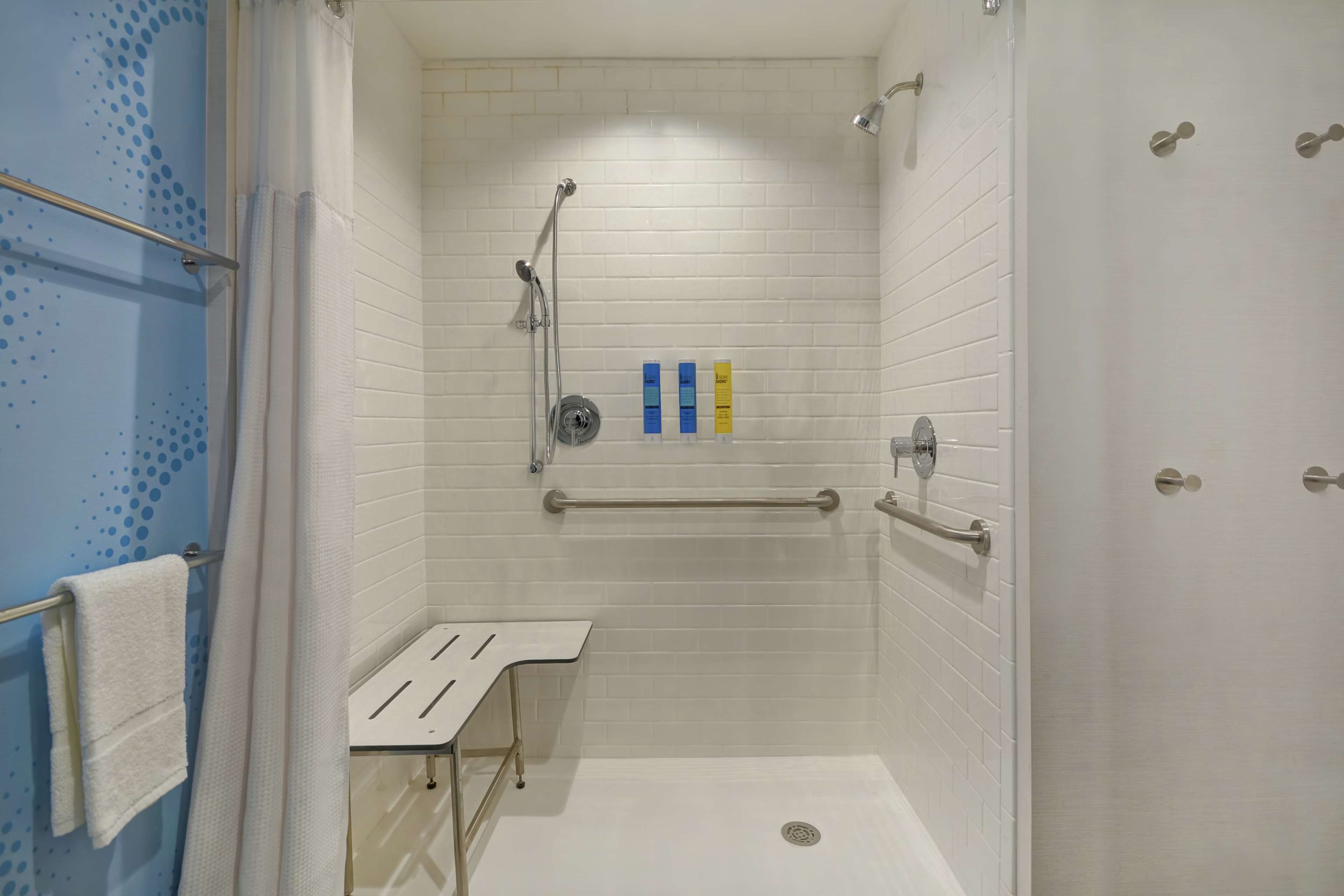 room, 1 king bed, accessible (roll-in shower, mobility & hearing) | bathroom shower