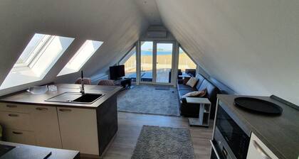 Appartement exclusif au dernier étage avec grande terrasse sur le toit