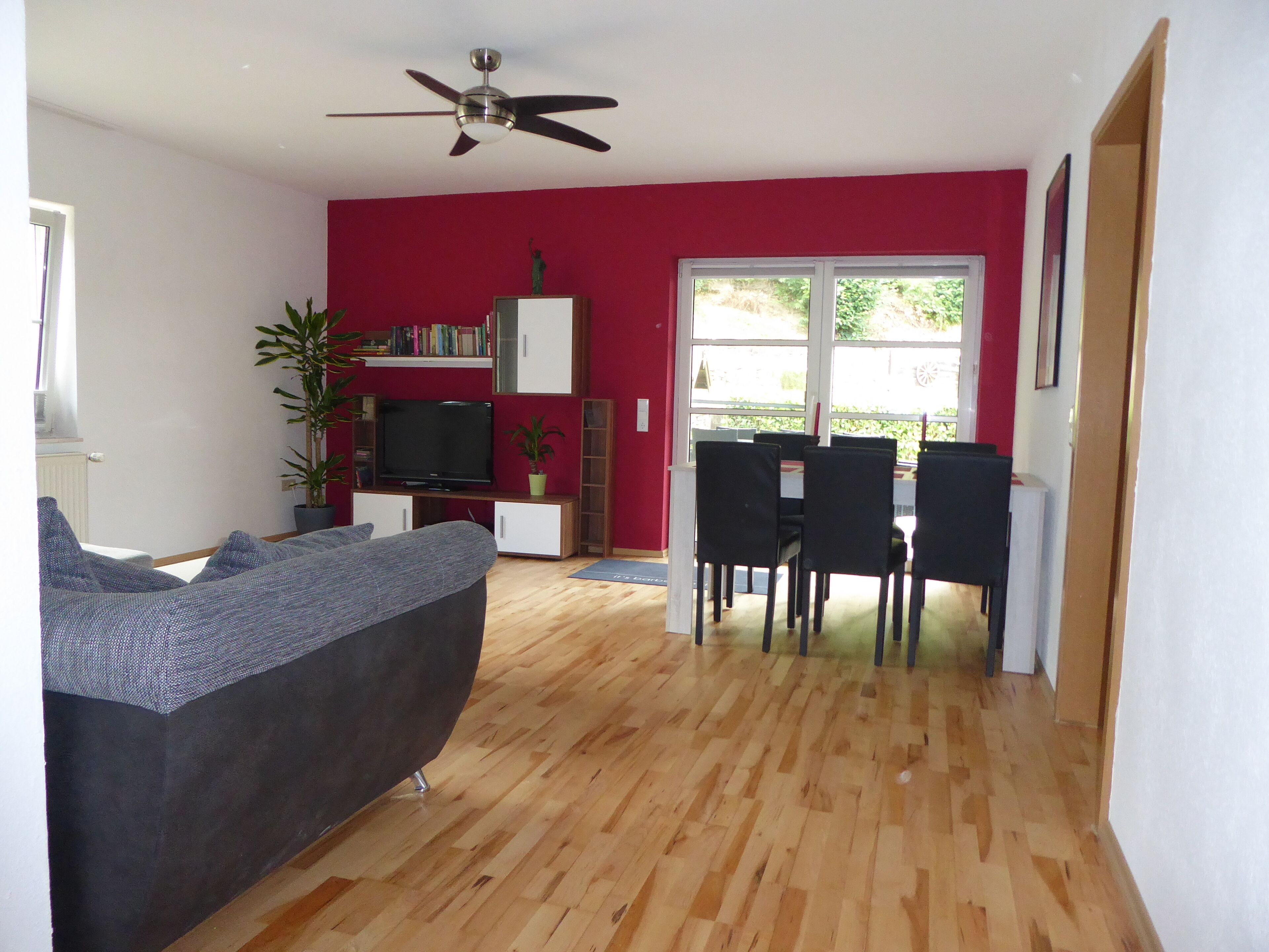 TV, DVD player, books