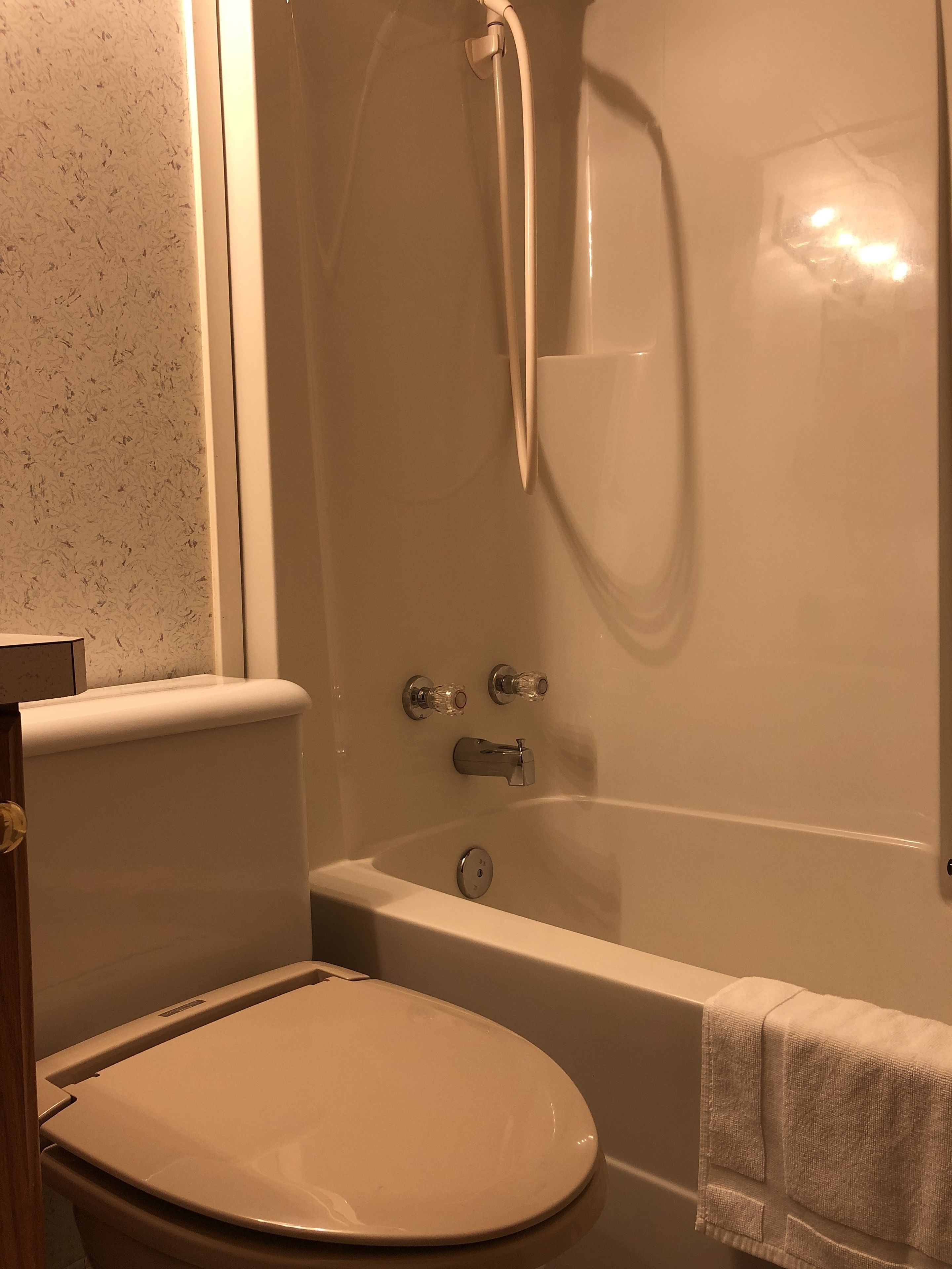 A bathroom with a toilet, a bathtub, and a shower.