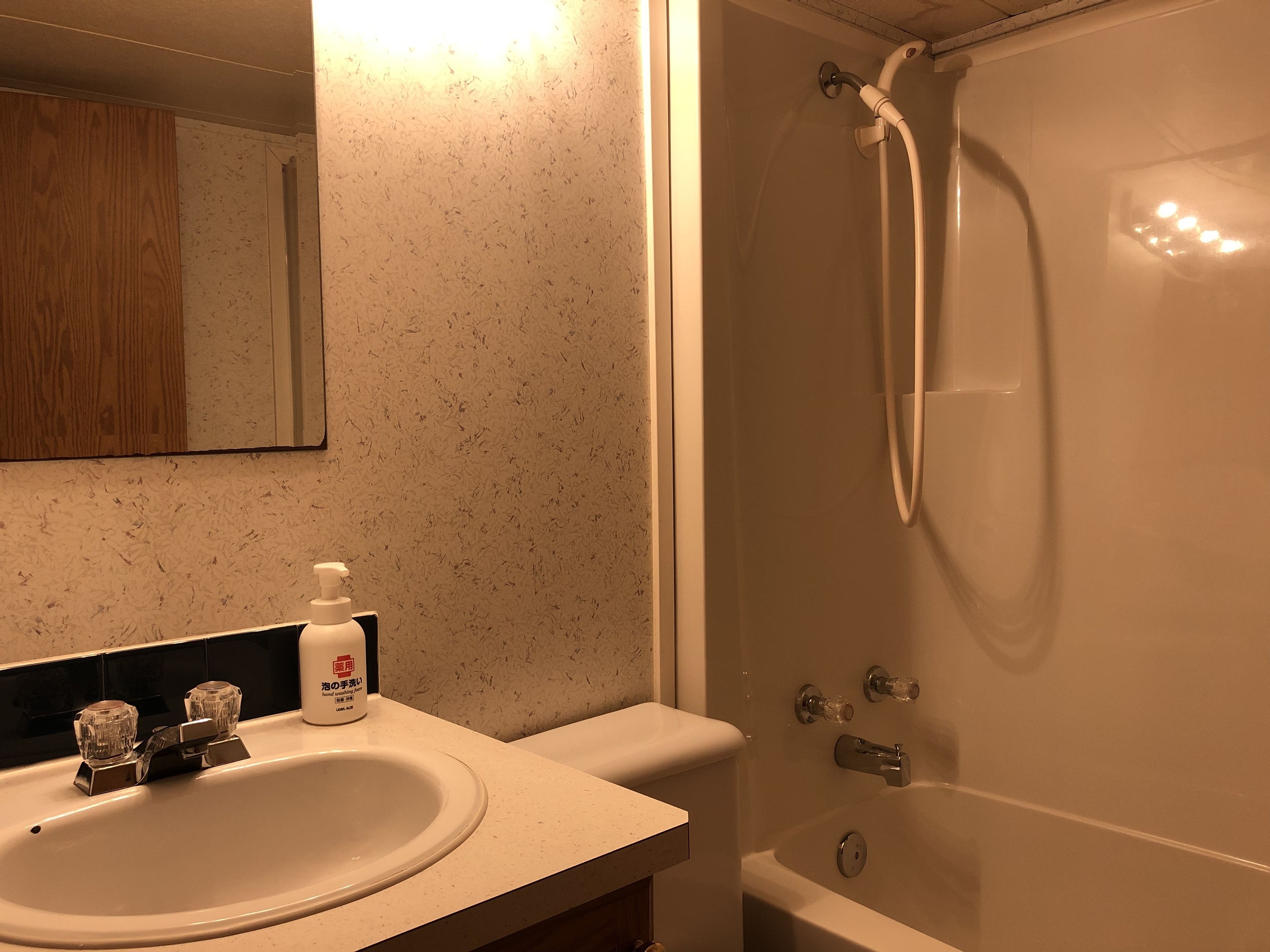 A bathroom with a sink, mirror, and shower.