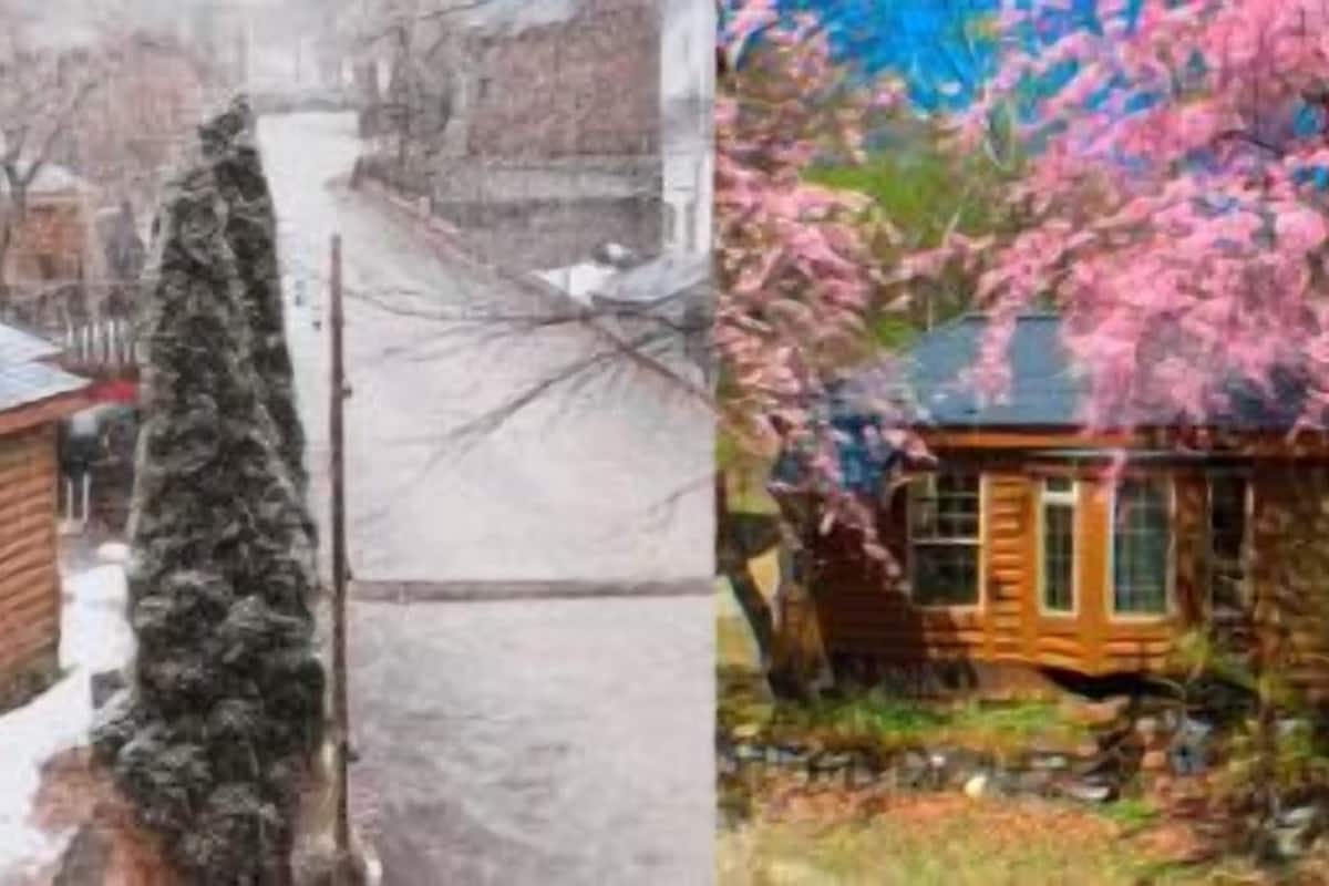 A cabin with a porch, a small attached shed, and a tree in front.
