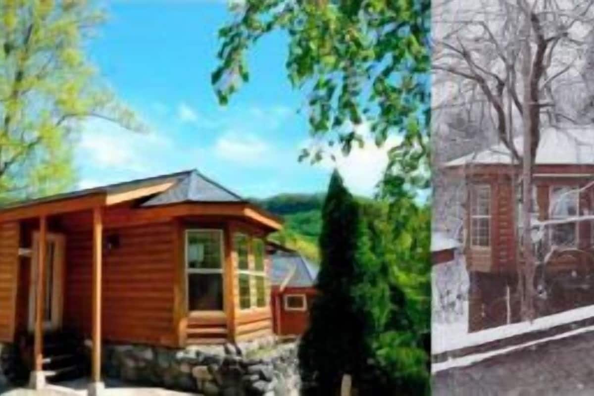 A cabin with a porch, a snow-covered path, and a view of a forest.