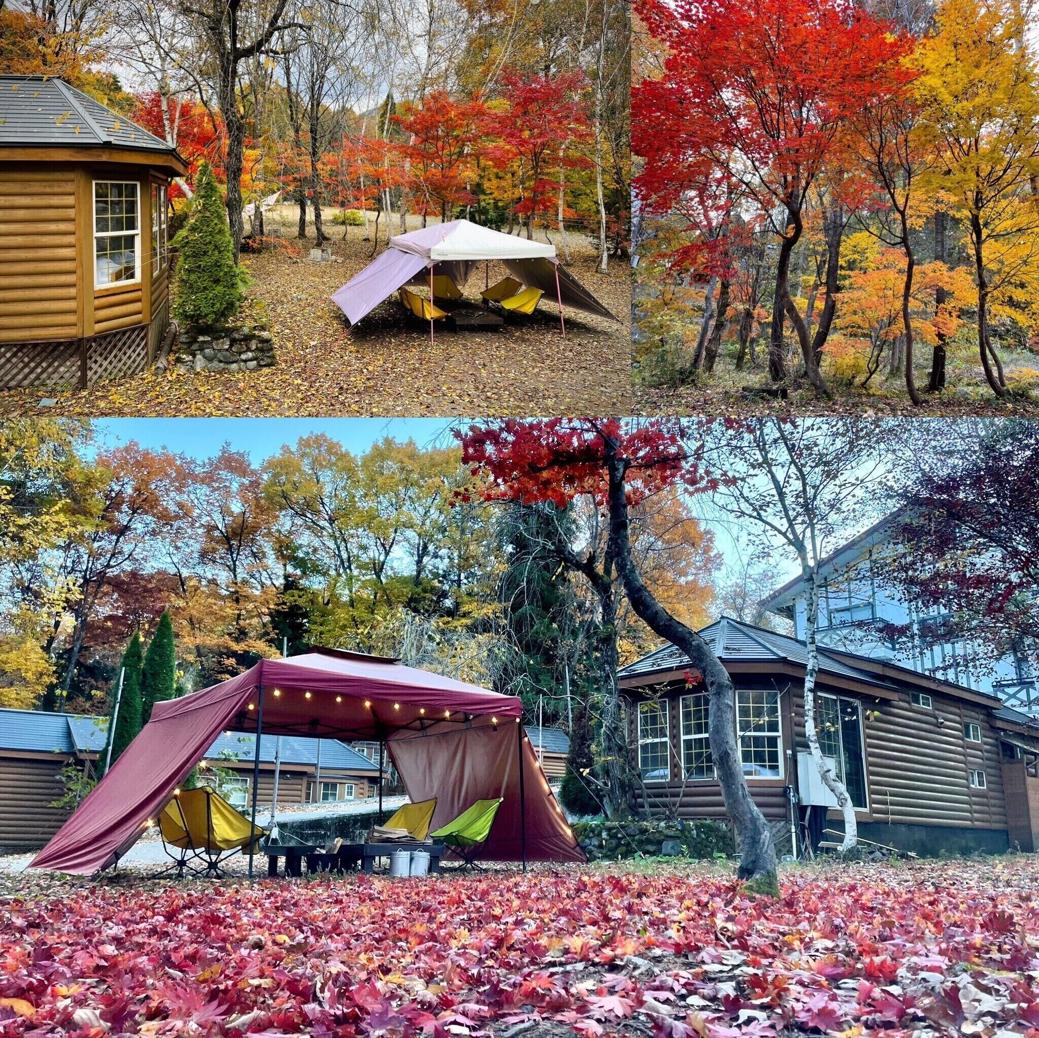 A cabin with a log exterior, a tent set up in the yard, and autumn foliage.