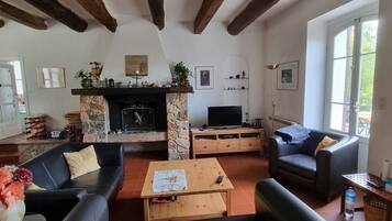 Smart TV, fireplace, DVD player, books