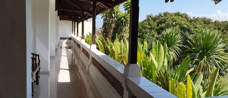 Vista desde la habitación