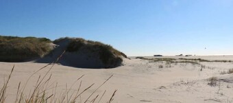 Apartment FeWo Soltau 3 EG