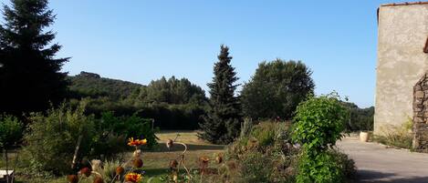 Overnatningsstedets område