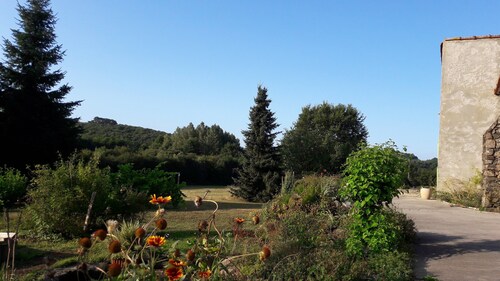 Gîte bocage Vendéen: 15 km from the Grand Parc Puy du Fou in the heart of nature.
