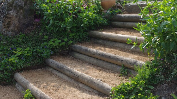 Um conjunto de degraus de madeira cercados por vegetação exuberante e plantas floridas.