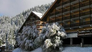 Ett hotell med flera balkonger, omgivet av snötäckta träd och med en bergskedja som bakgrund.