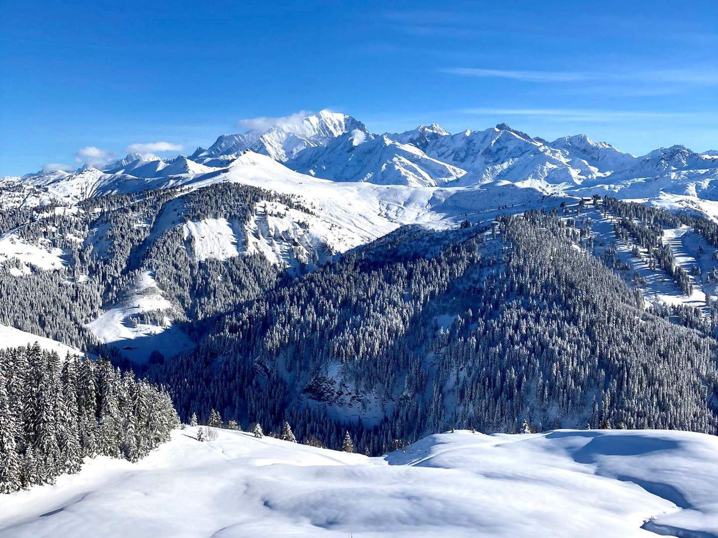 A snow-covered mountain landscape with dense forests and a clear sky.
