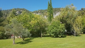 A park with various trees and a grassy field. - La Campanette in Luberon, private pool. (Cheval Blanc)
