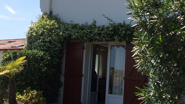 A building with a white exterior, a wooden door, and a small garden area with potted plants and a palm tree. - F2 on Bordagain Hill. Ciboure (Ciboure)