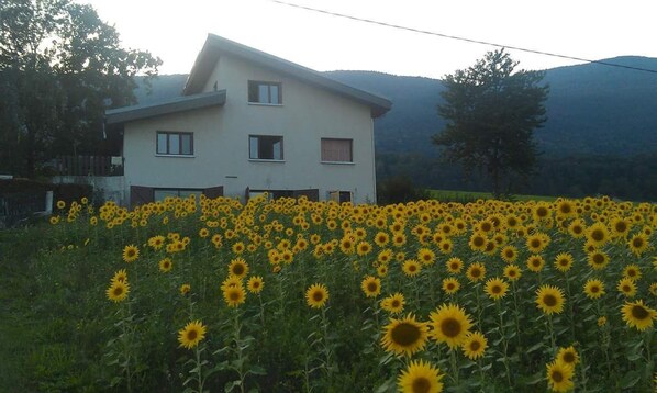 Exterior - Small apartment homestay (La Motte-Servolex)