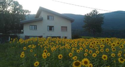 Small apartment homestay