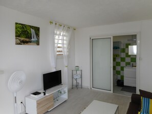 TV, DVD player - A GREAT F2 IN THE COLORS OF NATURE NEAR THE NATIONAL PARK (Petit Bourg)