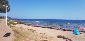 A beach with people swimming and walking along the shore, a dog on a leash, and a tent set up on the sand.