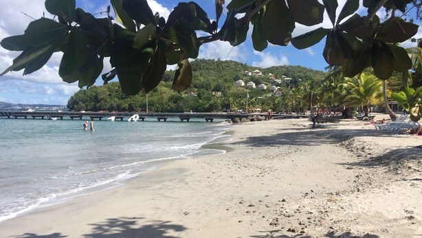 Una playa con agua cristalina, un muelle y casas al fondo.