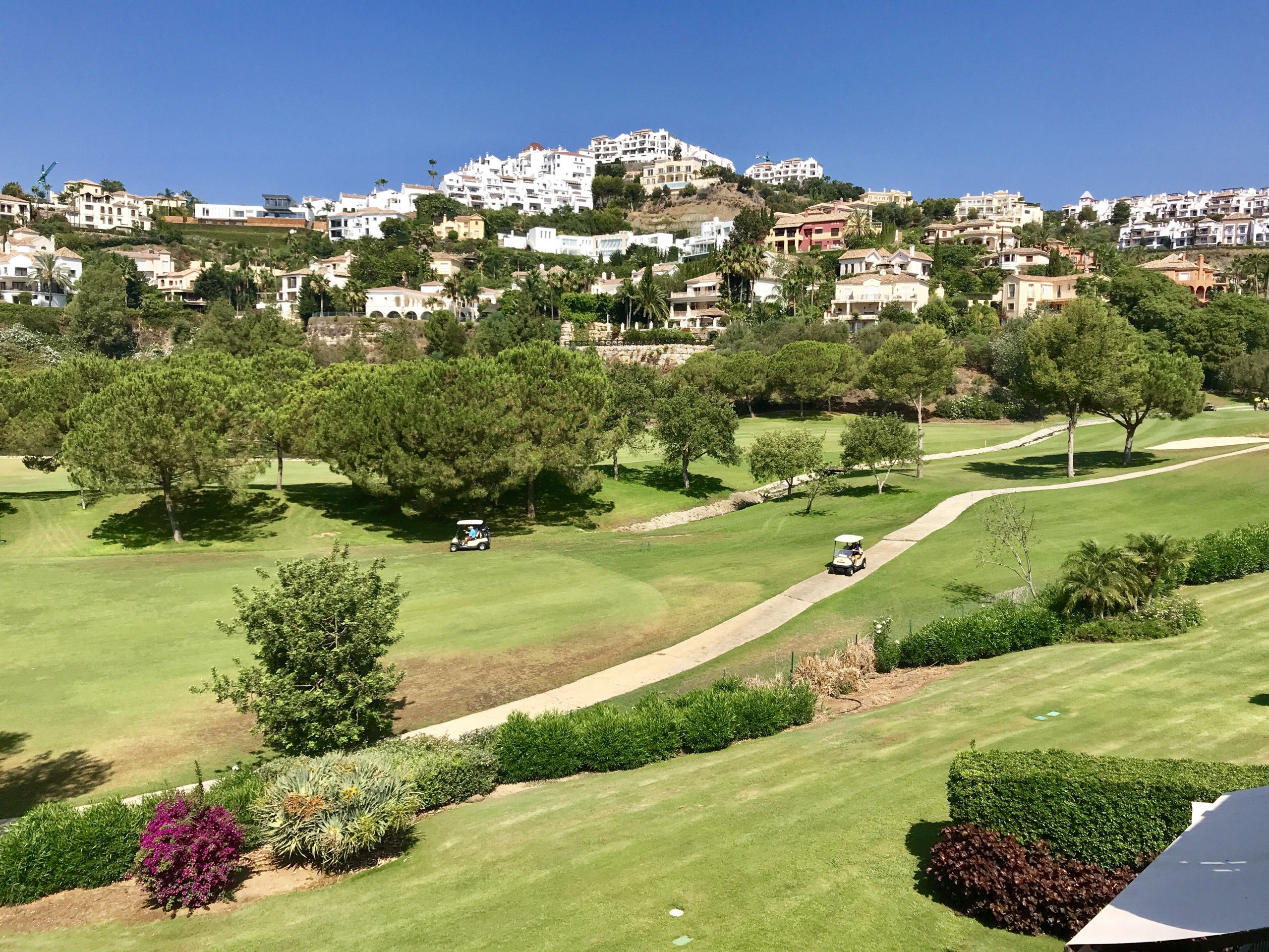 A golf course with a view of a hillside residential area in the background.