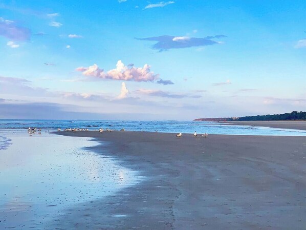 Une plage avec une vaste étendue de sable, une mer calme et quelques oiseaux.