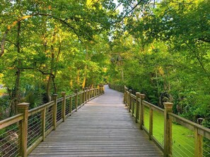 Un pont en bois, doté de garde-corps, entouré d’arbres verdoyants.