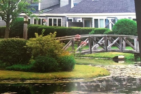 pond with walking bridges