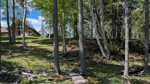 Un sentier en bois traverse une zone herbeuse, avec des arbres et un bâtiment en arrière-plan.