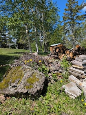 En naturlig utomhusmiljö med en sten, stockar och en liten träkonstruktion.
