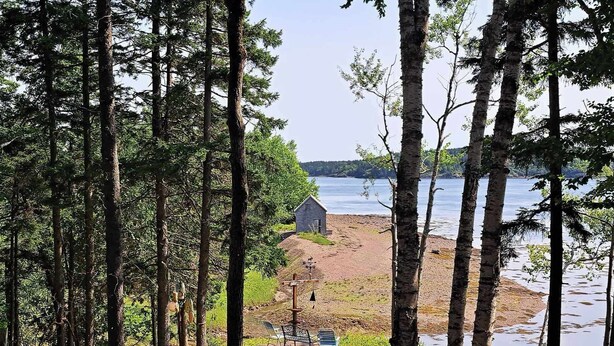 Une cabane au bord d’un lac, entourée de grands arbres.