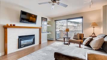 Smart TV, fireplace, DVD player, books