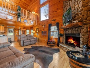 TV, fireplace, video games, DVD player