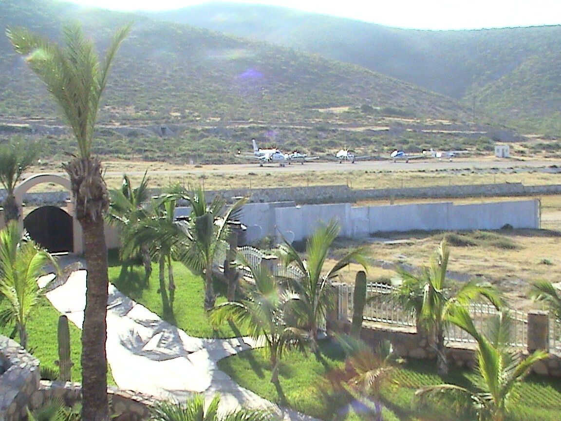 A desert landscape with palm trees and a distant view of airplanes on a runway.