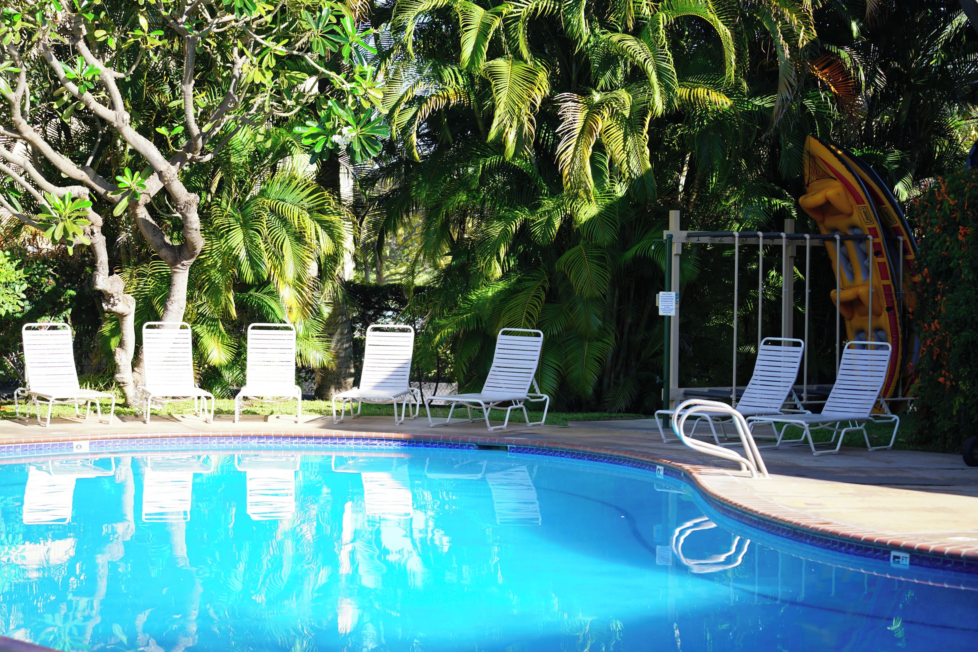 Una piscina con sillas de descanso blancas y palmeras al fondo.