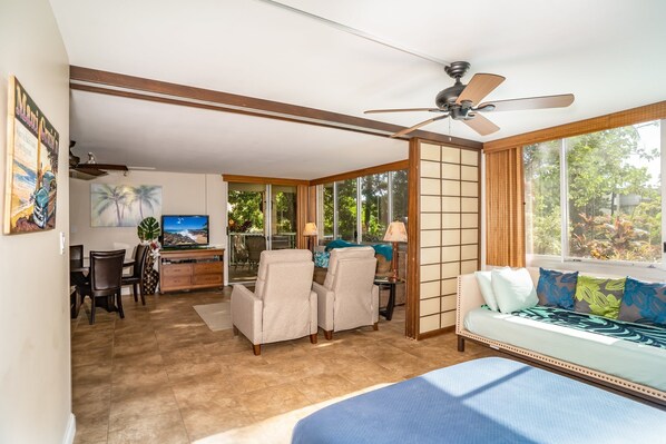 Télévision, lecteur de DVD, livres