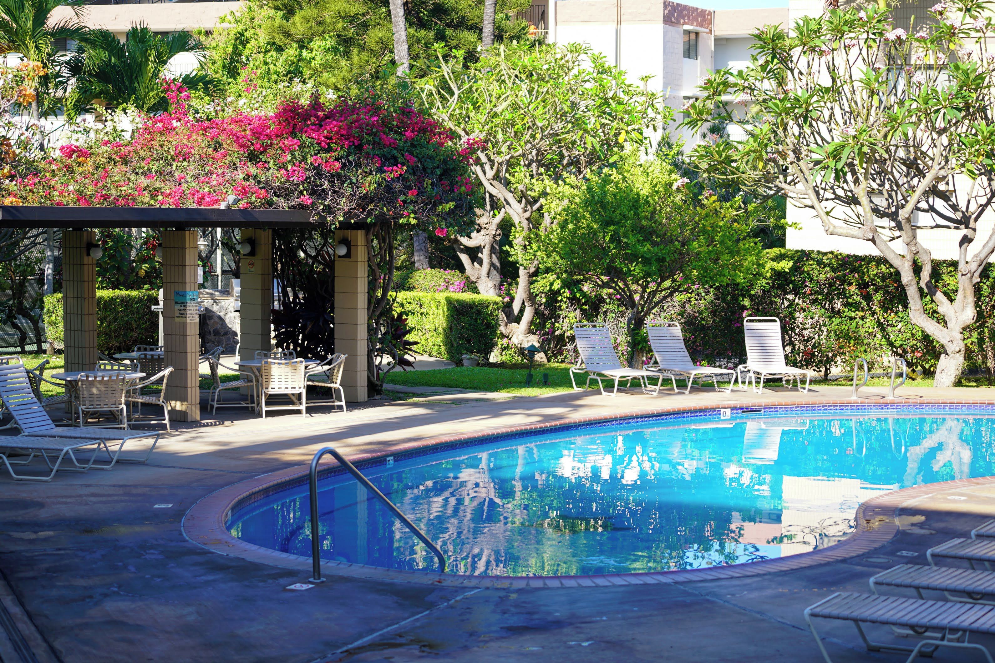 A swimming pool with lounge chairs and a pergola with a view of the pool.
