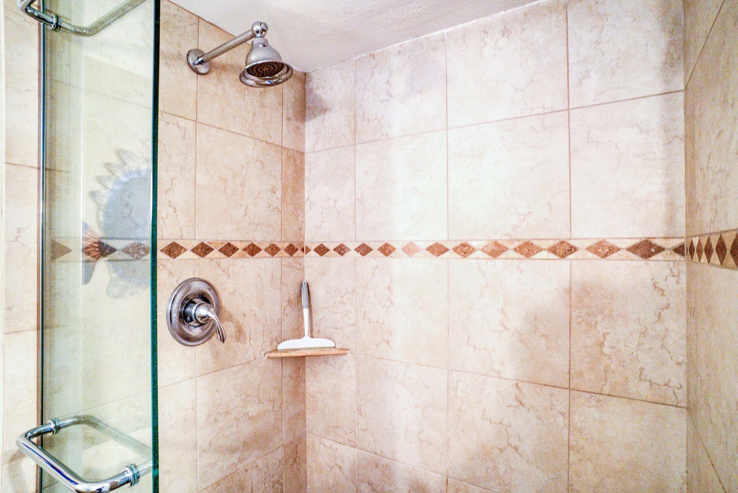 A shower area with a glass door, a handheld showerhead, a handheld brush, and a wall-mounted towel rack.